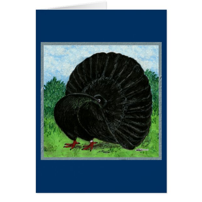 Fantail : Noir (Devant)