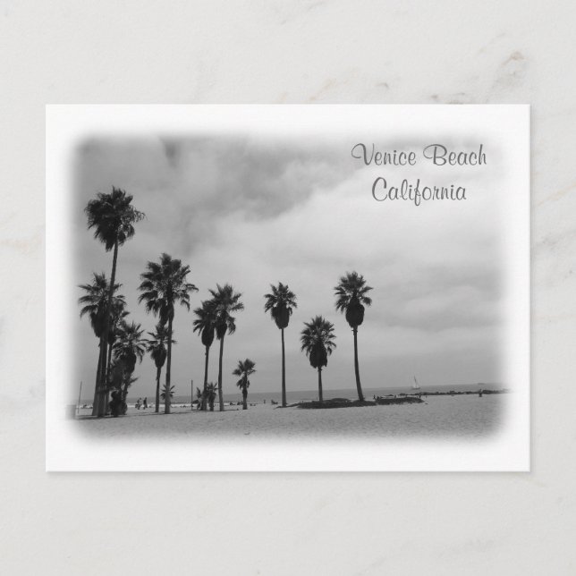 Fantastique Venice Beach Carte Postale! (Devant)