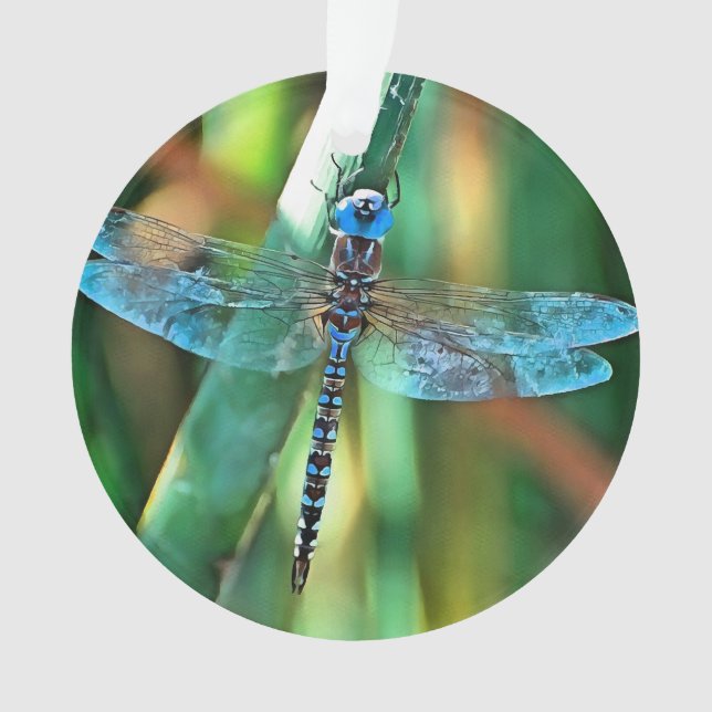 Fantasy Dragonfly (devant)