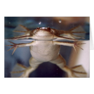 Fantôme de la carte Plusieurs Jambes