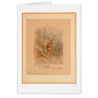 Faon dans la forêt (0567A)
