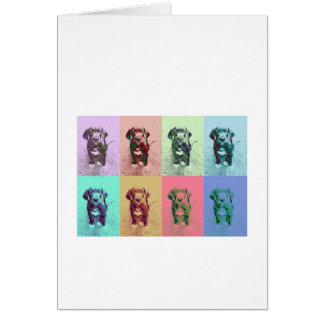 FarbMuster Doggen chiot Calla