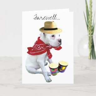 Farewell White Boxer pup avec Bongos carte de voeu