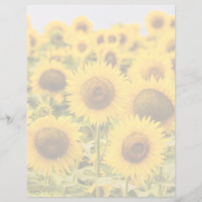 Farms | A Sunflower (Devant)