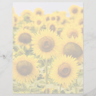Farms   A Sunflower