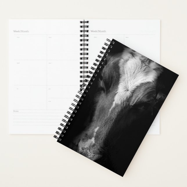 Farms | B&W Cow (Devant avec enveloppe)