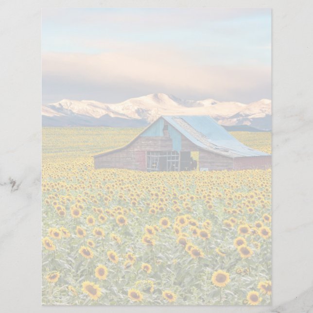 Farms | Field (Devant)
