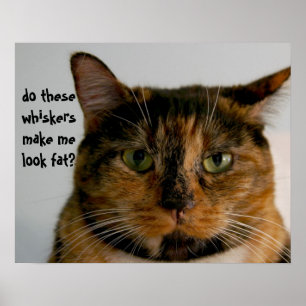 Fat Cat with Attitude, funny cat poster