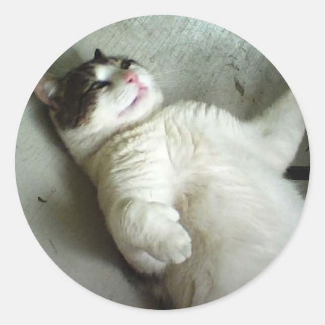 FATBOY SE TROUVANT VERS LE BAS AUTOCOLLANTS (Devant)