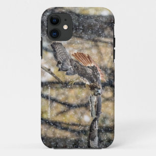 Faucon rouge de queue dans le coque iphone de