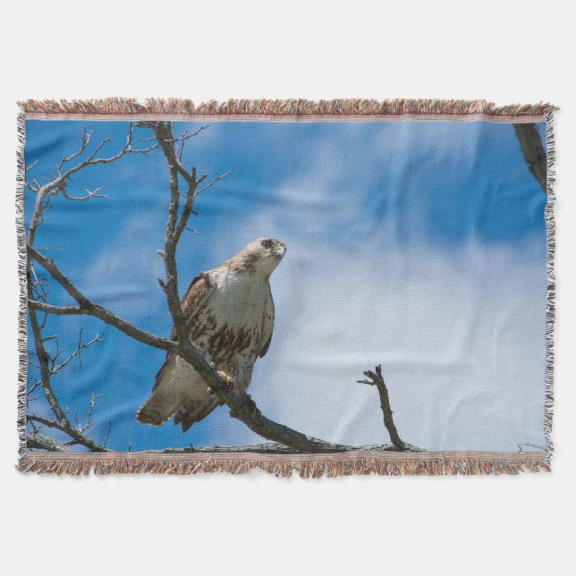 Faucon Sur La Chasse Jetez La Couverture (Devant)