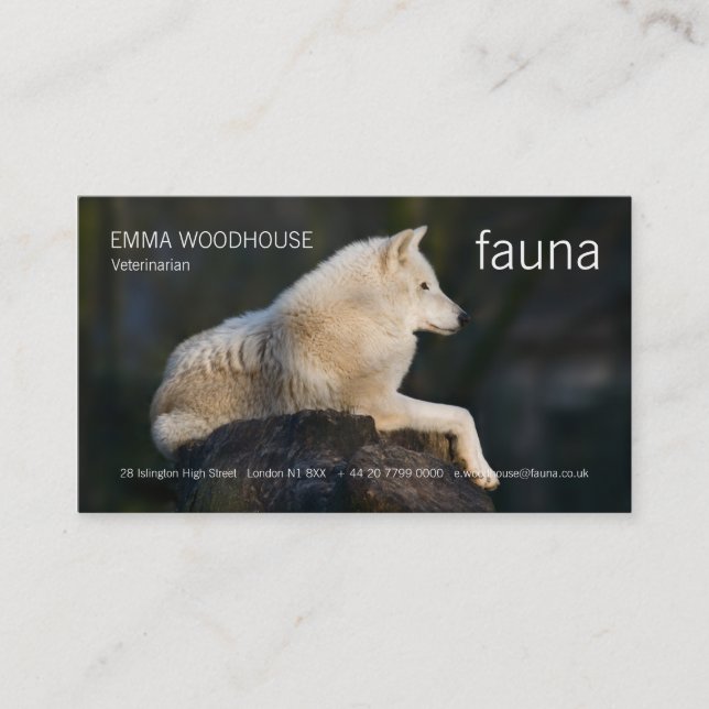 Faune - carte de visite arctique de loup (Devant)