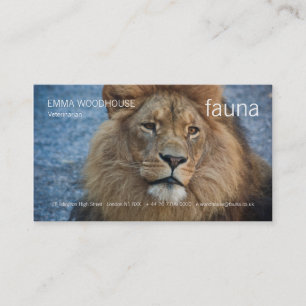 Faune - carte de visite de lion