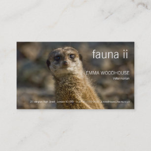 Faune - carte de visite de Meerkat