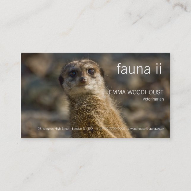 Faune - carte de visite de Meerkat (Devant)