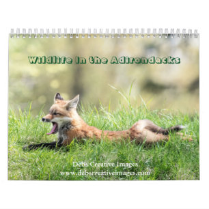 Faune dans les Adirondacks Calendrier 2026