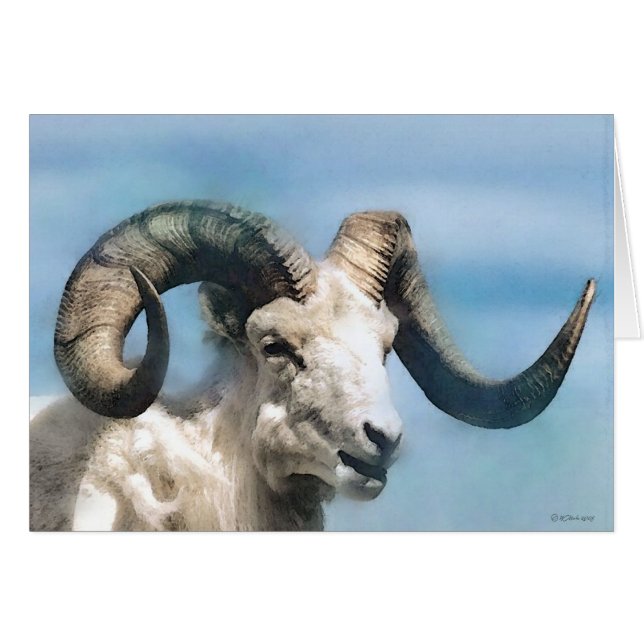 Faune-Grand klaxon (Devant horizontal)
