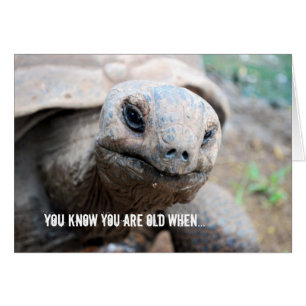 Faute de mémoire de tortue géante