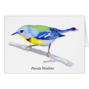 Fauvette de Parula