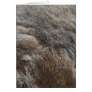 Faux Chat Fur look