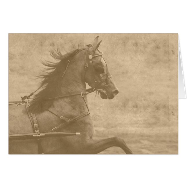 Faux Vintage Hackney (Devant horizontal)