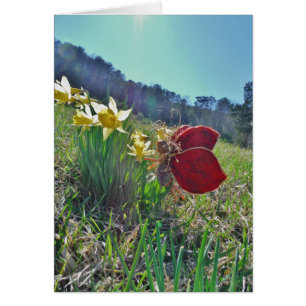 fée à aile rouge et jonquilles