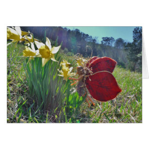 fée à aile rouge et jonquilles