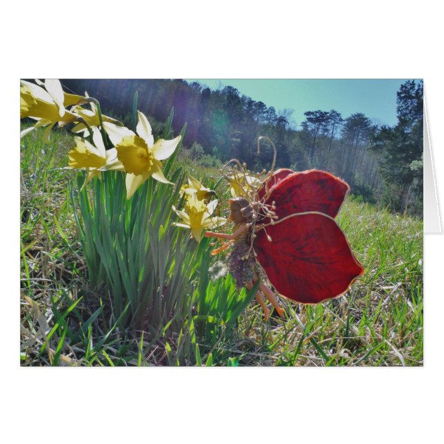 fée à aile rouge et jonquilles (Devant horizontal)