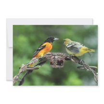 Feed Me - Carte de voeux plate