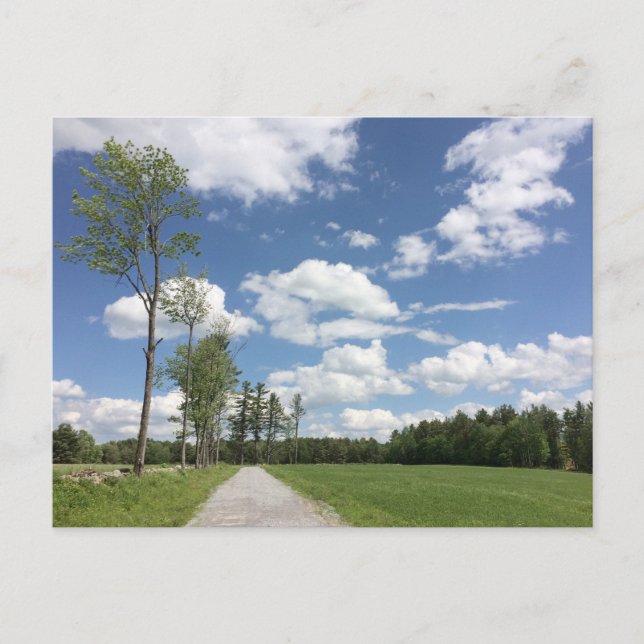 Félicitation !  HORS-MARCHE !  carte postale (Devant)