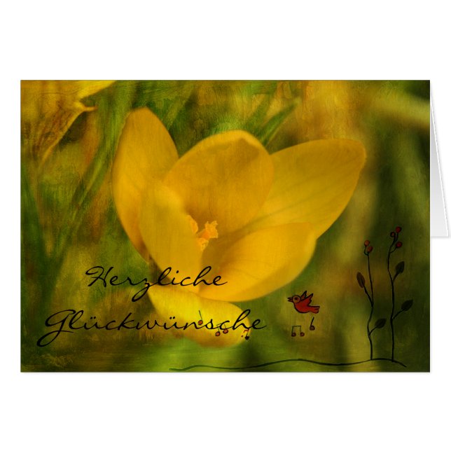 Félicitations (Devant horizontal)