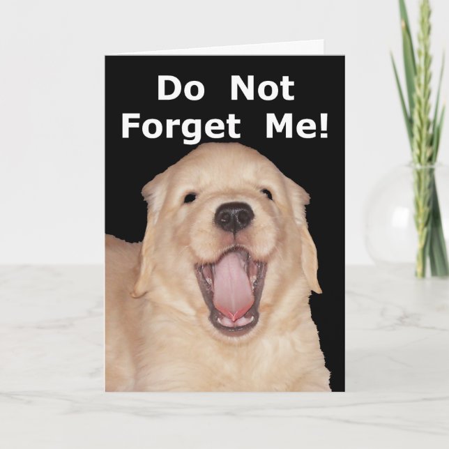 Félicitations à la retraite amusante Carte de voeu (Devant)