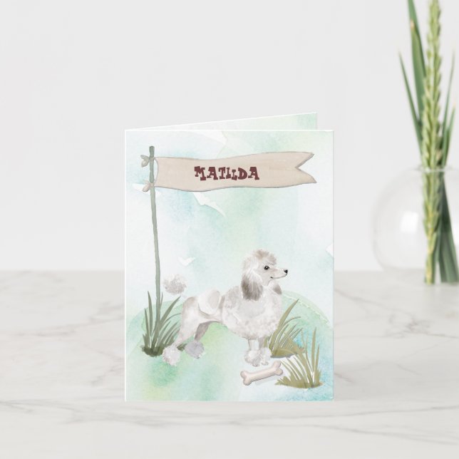 Félicitations à White Poodle pour son nouveau chie (Devant)