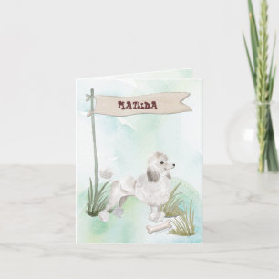 Félicitations à White Poodle pour son nouveau chie