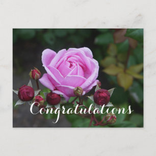 Félicitations Bishop’s Castle #1 Carte postale