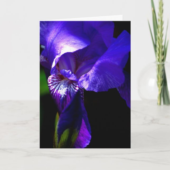 Félicitations ! ! carte avec Iris (Devant)