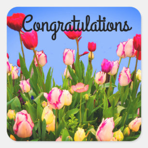 Félicitations Diverses Tulipes Stickers #3