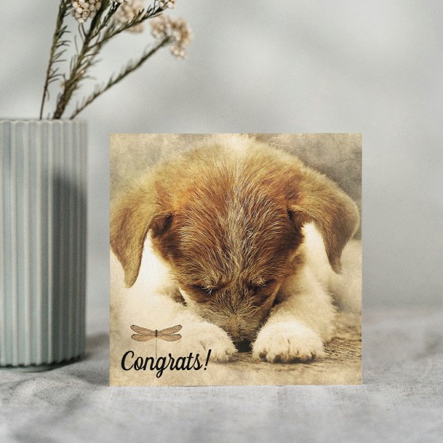 Félicitations pour la carte Nouveau Chien de Compa (Créateur téléchargé)