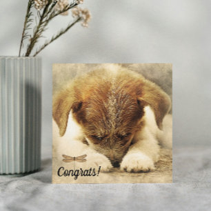 Félicitations pour la carte Nouveau Chien de Compa