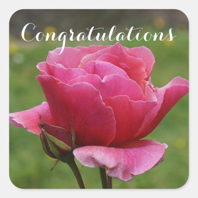 Félicitations Rose Duet #1-2 Stickers (Devant)