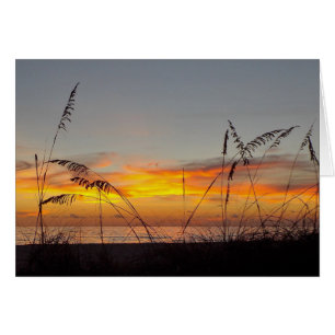 Félicitations Sunset and Sea Oats Greeting Card
