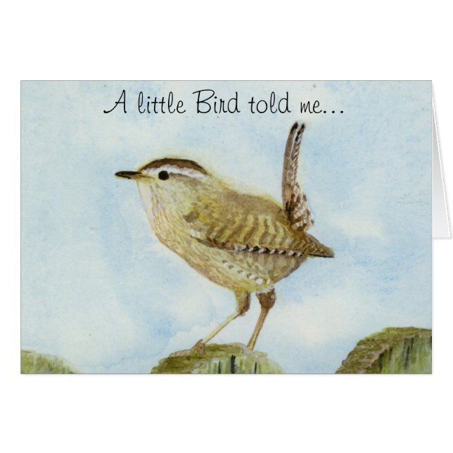 Félicitations Wren (Devant horizontal)