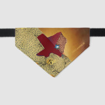 Feline Bandana - Texas Style!