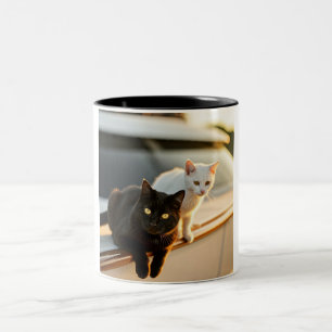 Feline Yacht Life Mug