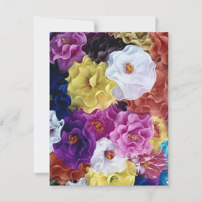 ¡Feliz Cinco de Mayo ! (Devant)