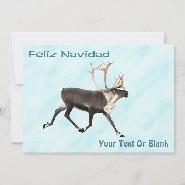 Feliz Navidad - Caribou (Reindeer) Sur Neige (Devant)