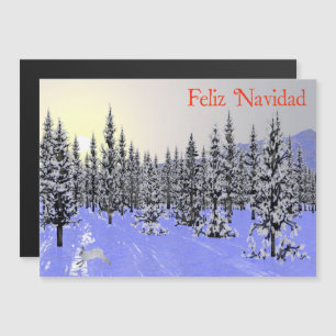 Feliz Navidad - Solstice d'hiver