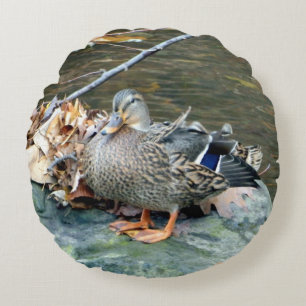 Femme Mallard Duck (sur le rocher) Coussin ronde