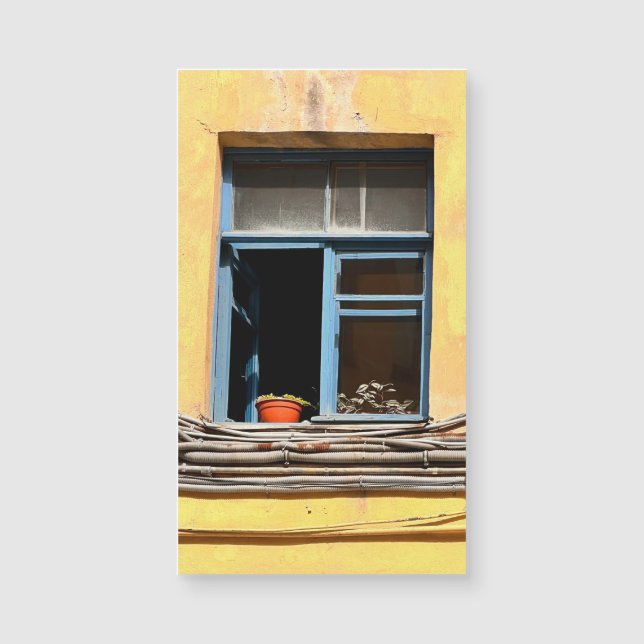 Fenêtre à Saint-Pétersbourg (Devant)