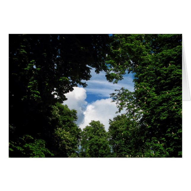 Fenêtre Arborescence (Devant horizontal)
